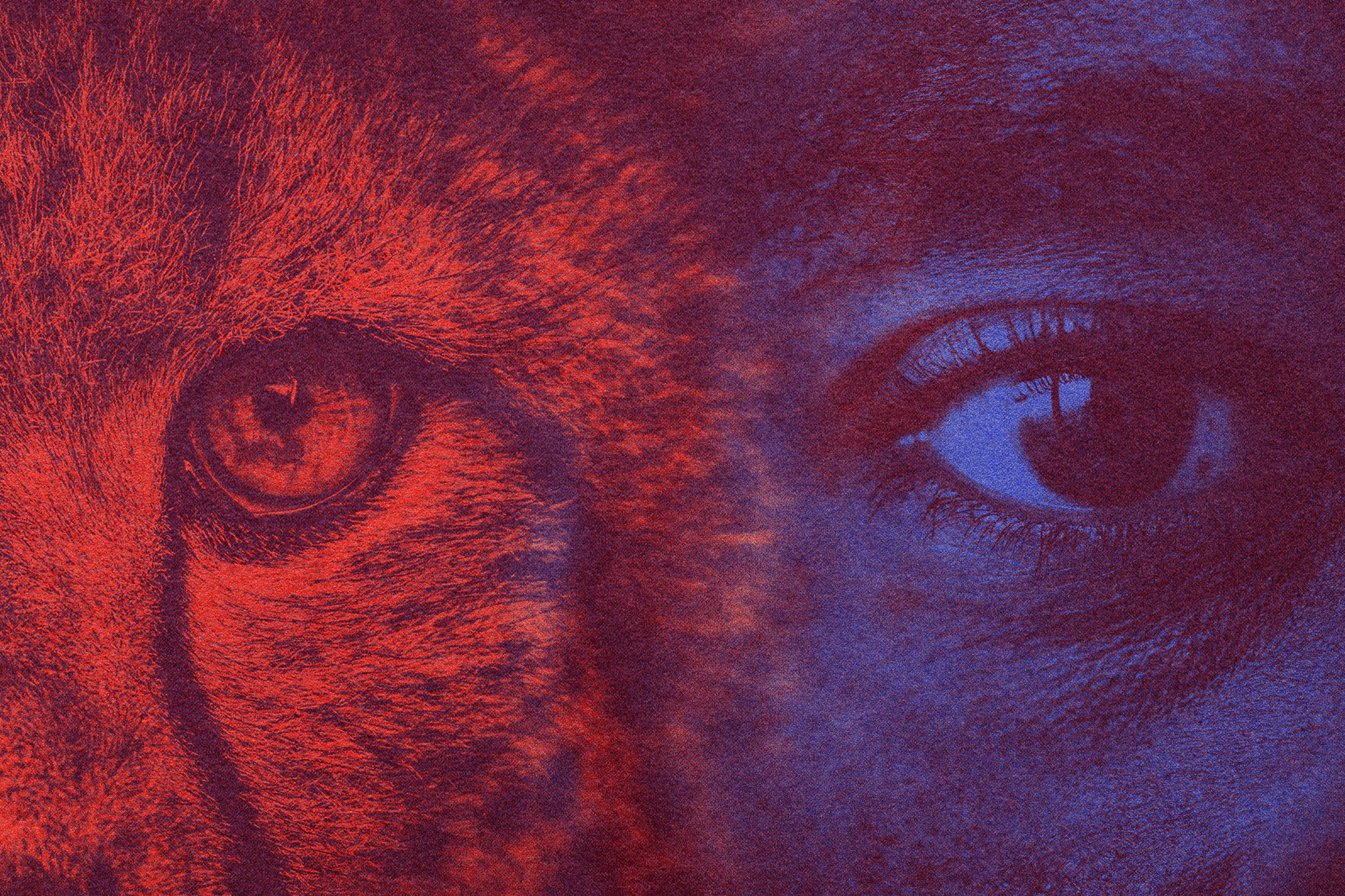 Tu guía interna, El animal de poder